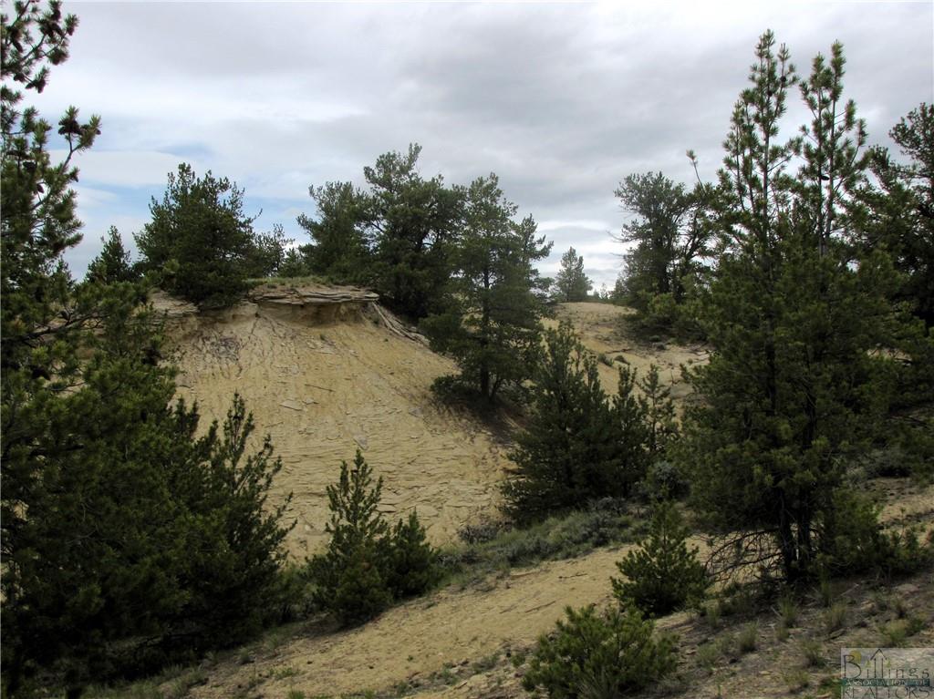 Nhn Cottonwood Road Property Photo 24