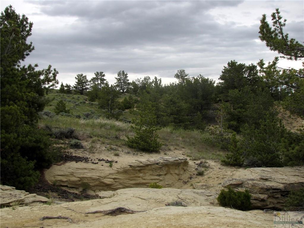 Nhn Cottonwood Road Property Photo 31