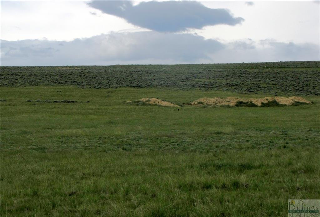 Tbd Cottonwood Road Property Photo 9