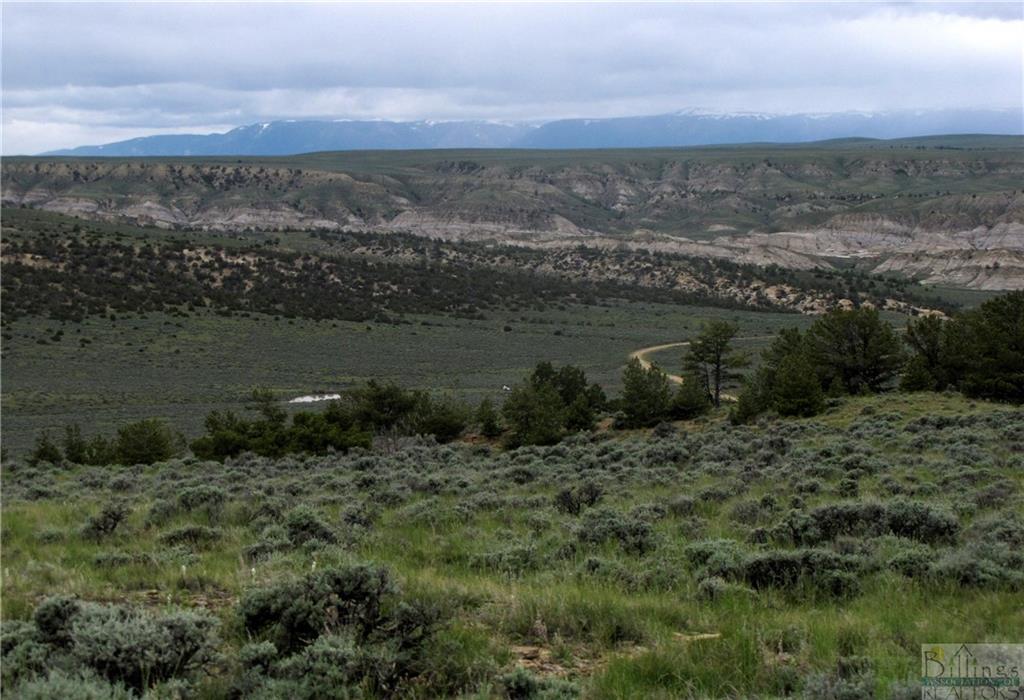 Tbd Cottonwood Road Property Photo 10