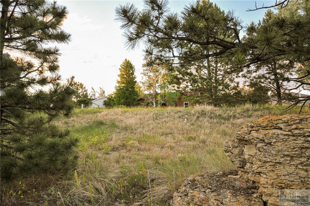 1250 Calico Property Photo 9