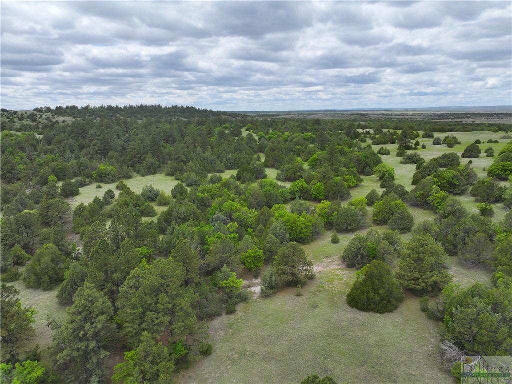 0 Little Missouri River Rd Property Photo 4