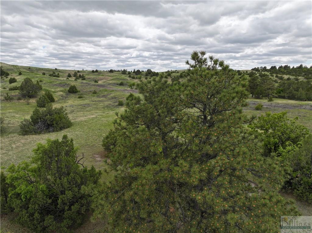 0 Little Missouri River Rd Property Photo 5