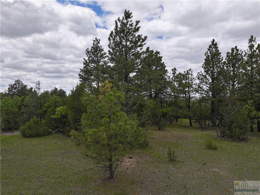 0 Little Missouri River Rd Property Photo 6