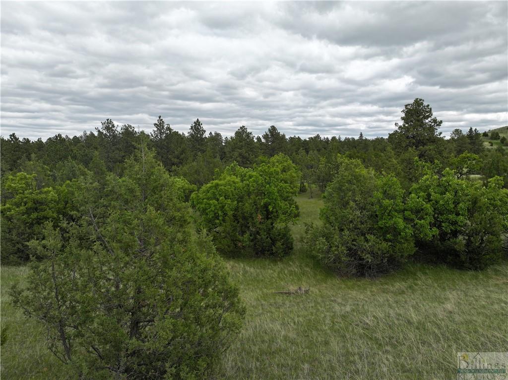 0 Little Missouri River Rd Property Photo 7