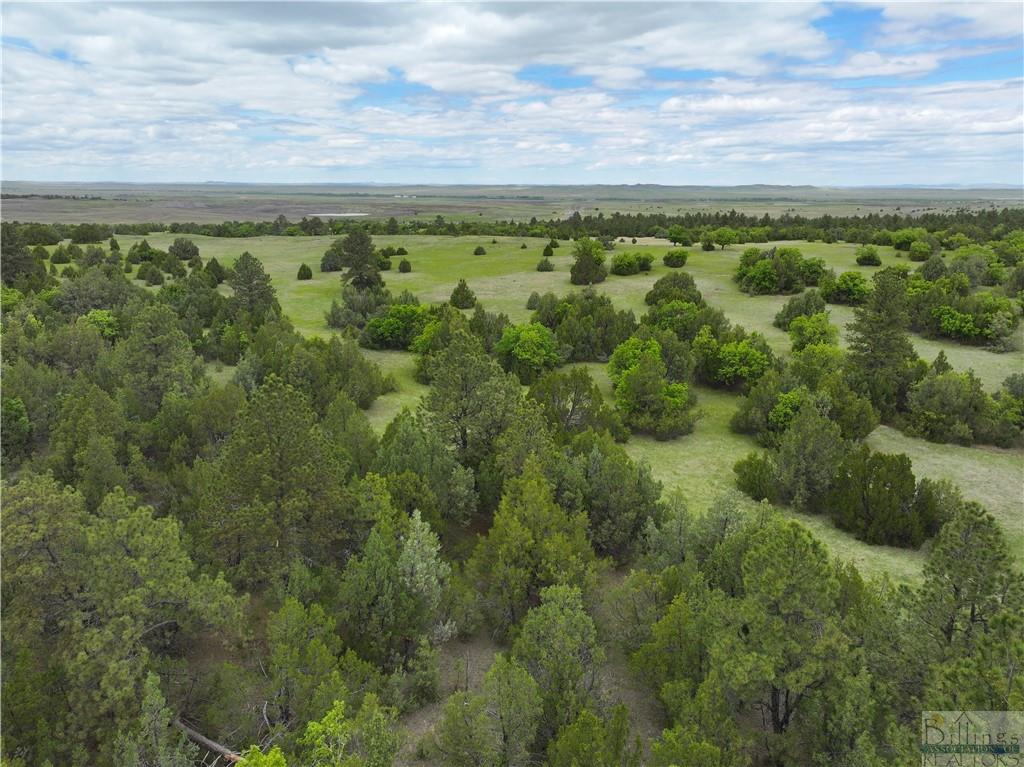 0 Little Missouri River Rd Property Photo 8