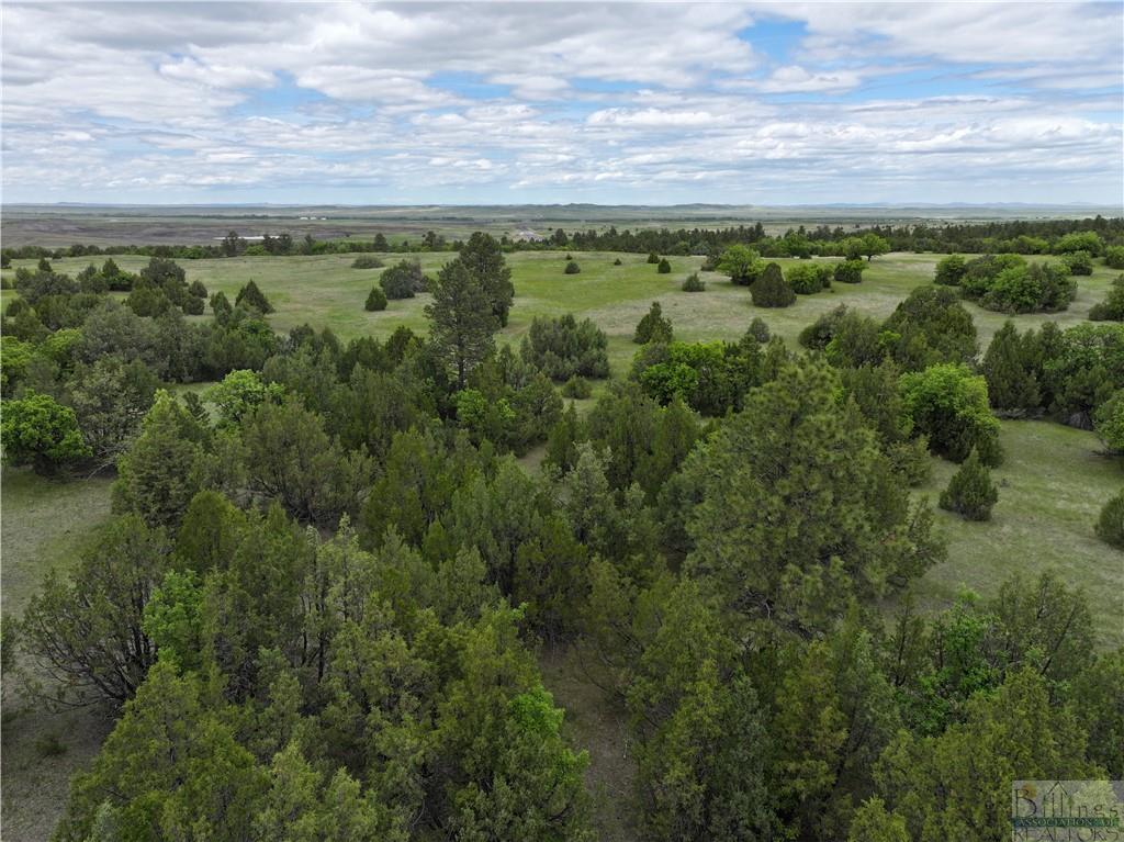 0 Little Missouri River Rd Property Photo 9
