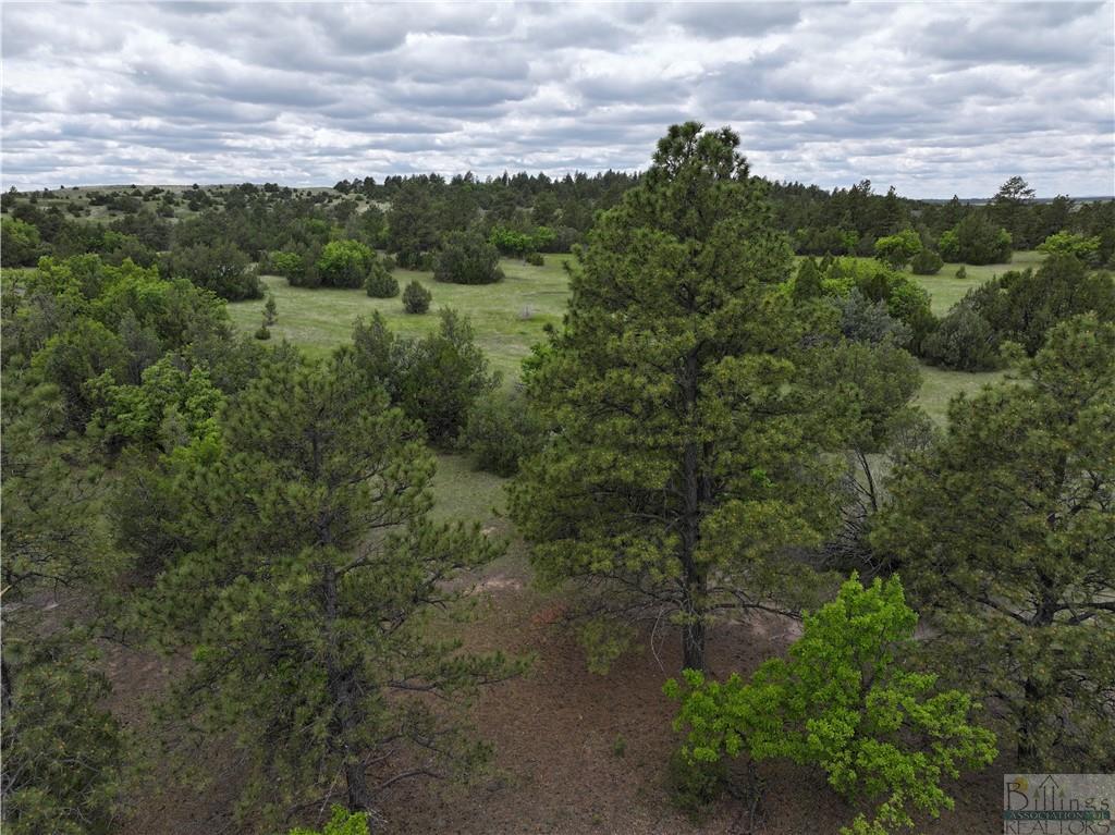 0 Little Missouri River Rd Property Photo 10