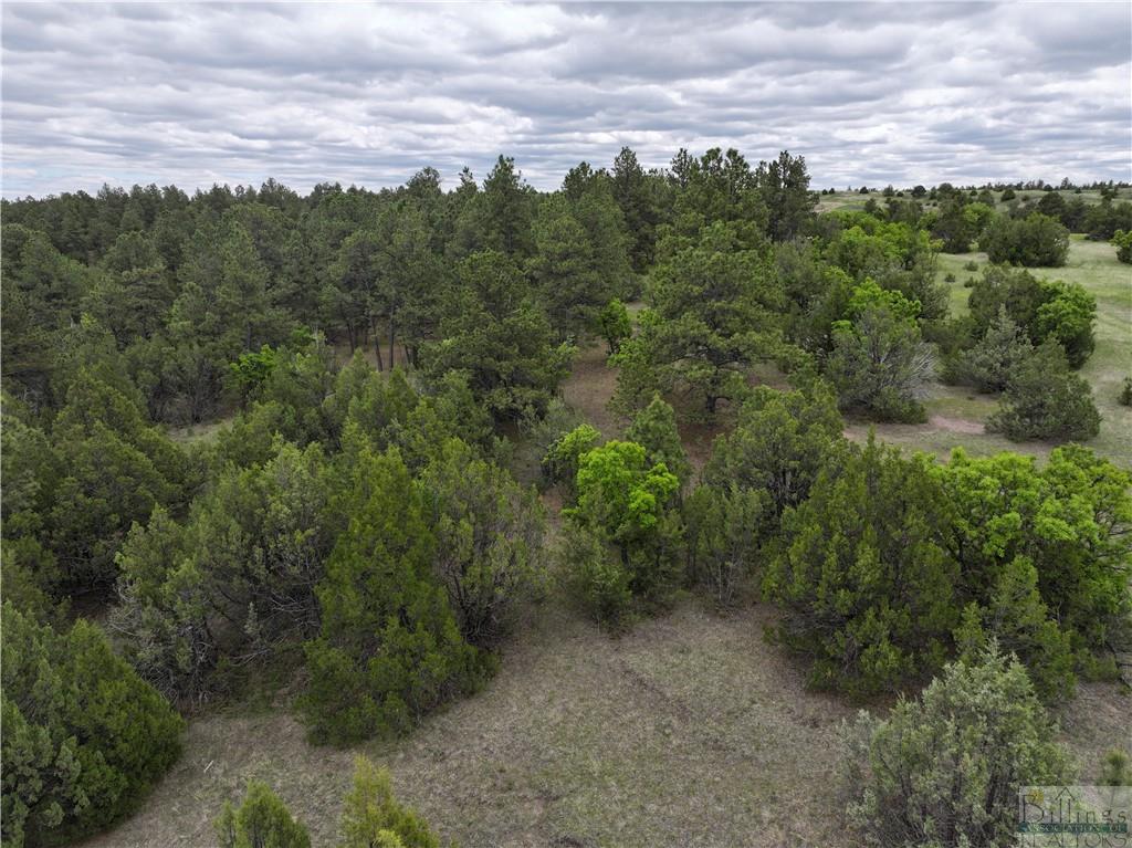 0 Little Missouri River Rd Property Photo 11