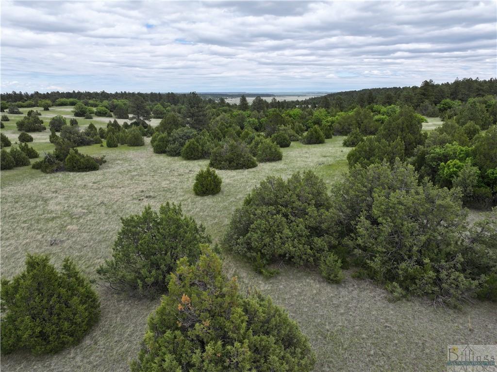 0 Little Missouri River Rd Property Photo 12