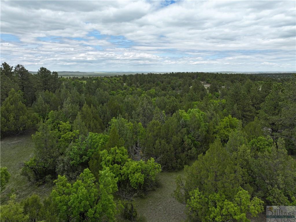 0 Little Missouri River Rd Property Photo 15