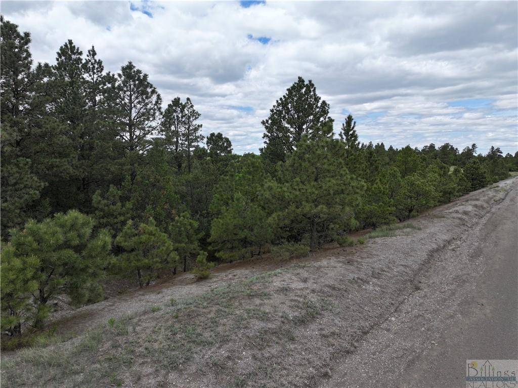 0 Little Missouri River Rd Property Photo 16