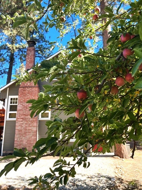 195 Elgin Rd Property Photo