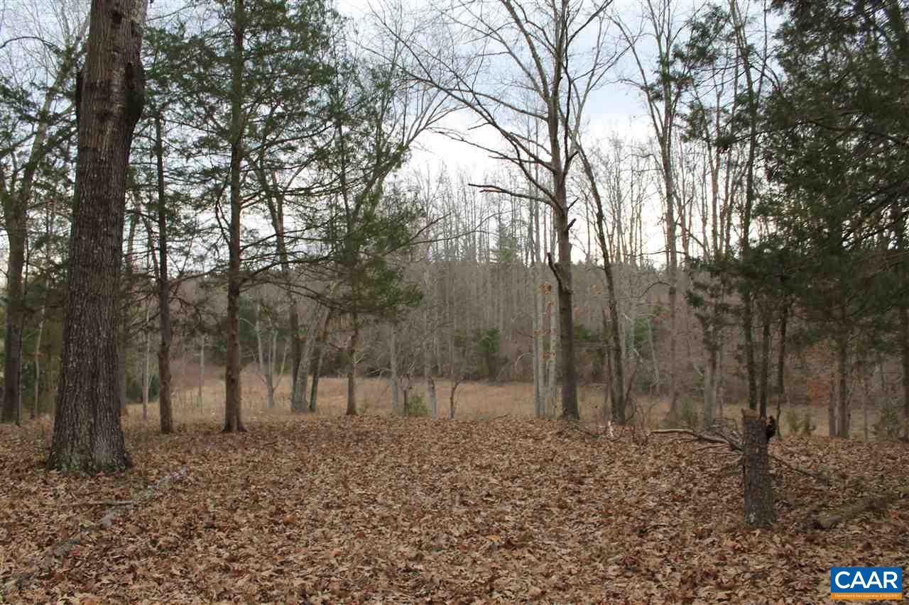 17 Langdon Woods Dr Property Photo 6