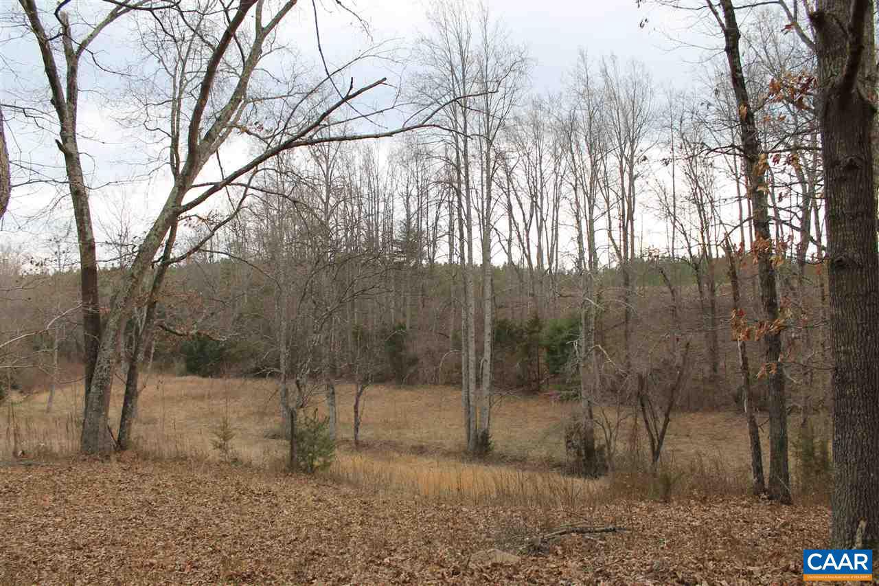 17 Langdon Woods Dr Property Photo 13