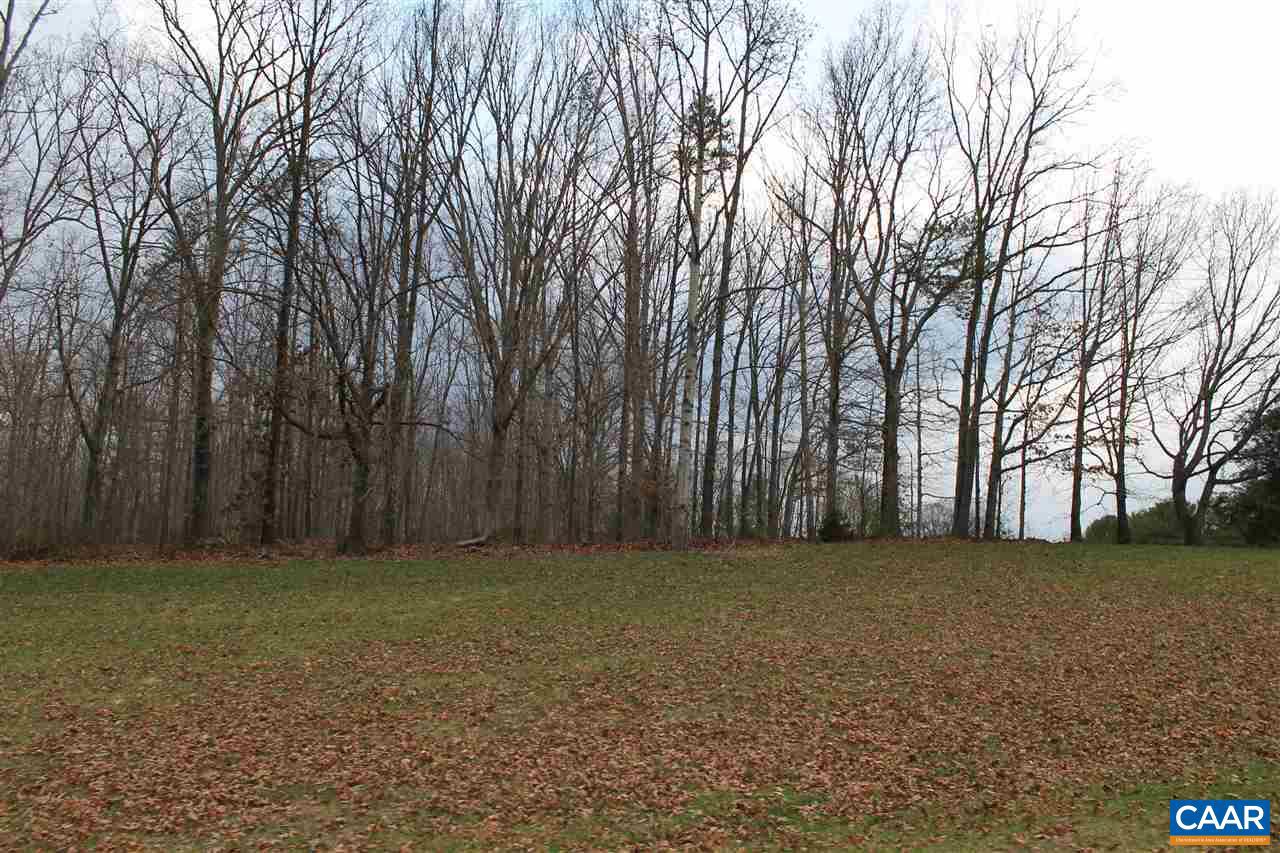 17 Langdon Woods Dr Property Photo 14