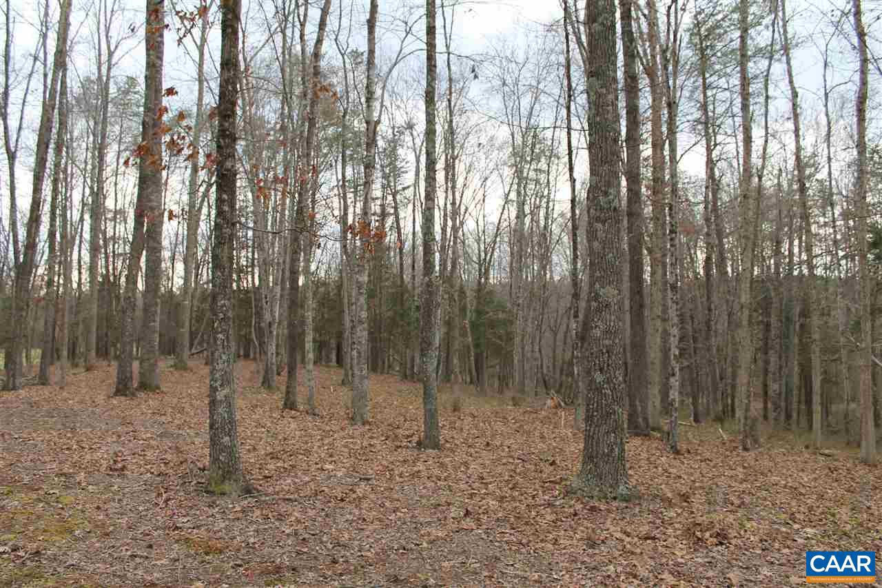17 Langdon Woods Dr Property Photo 15
