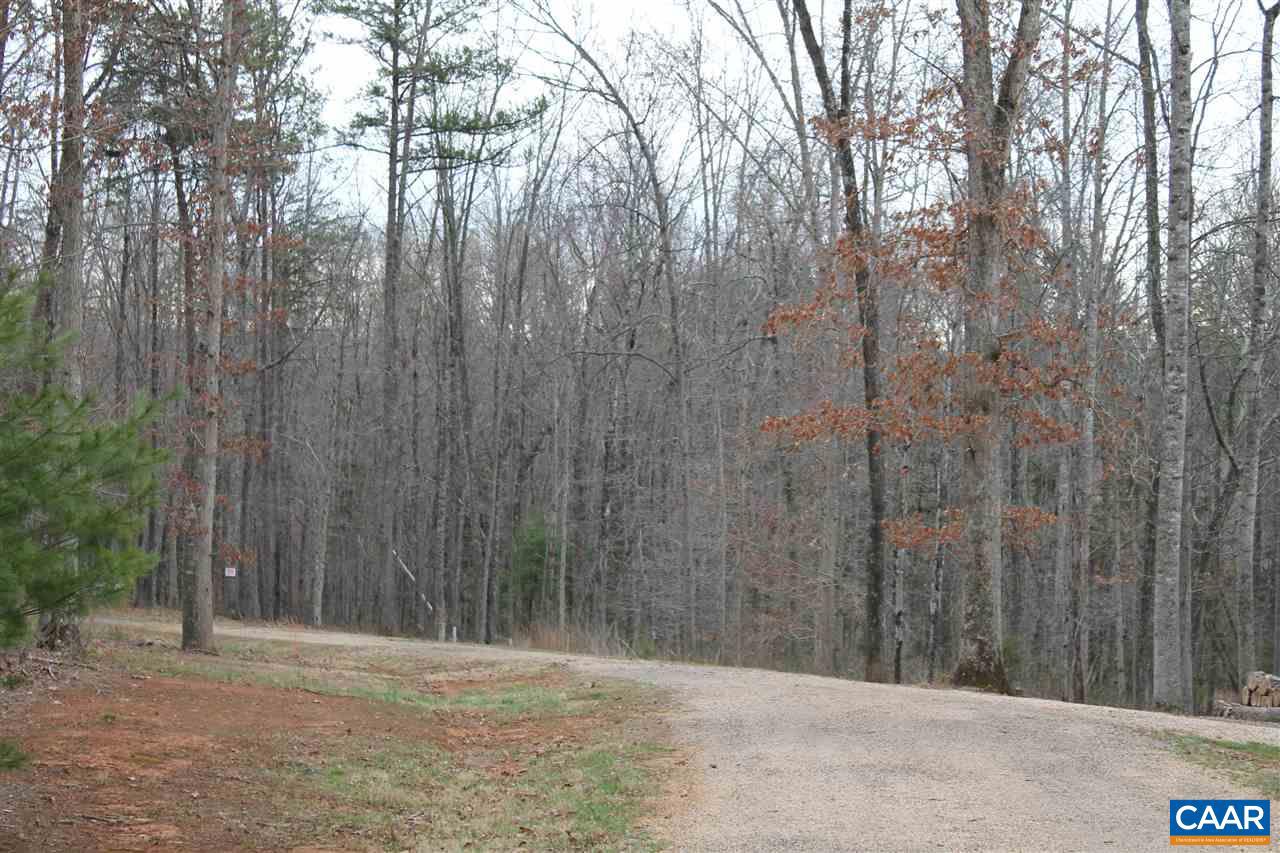 17 Langdon Woods Dr Property Photo 16