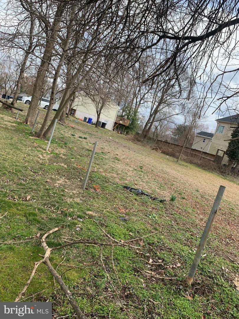 8815 Maple Ave Property Photo 1