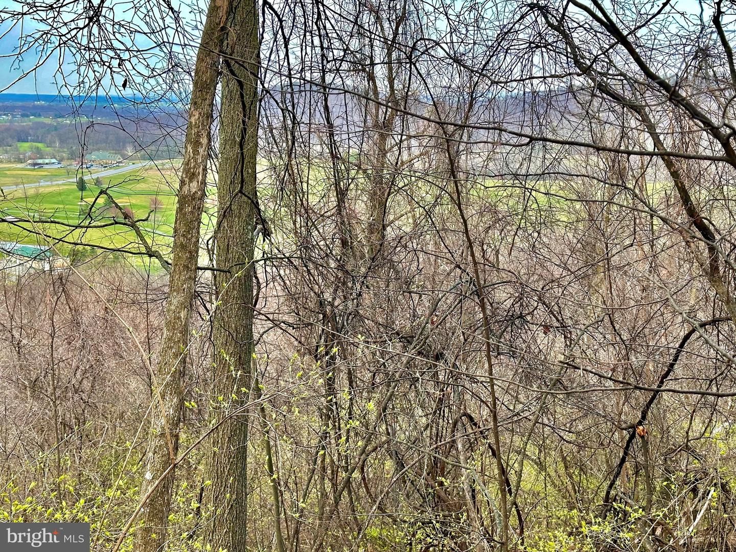 71 Acres Blairs Valley Rd Property Photo 2