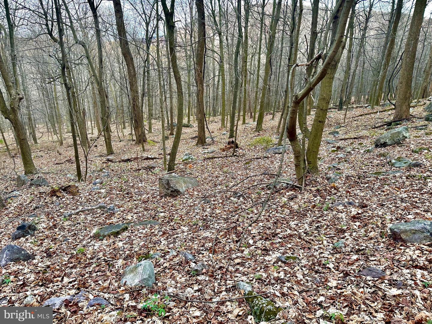 71 Acres Blairs Valley Rd Property Photo 5