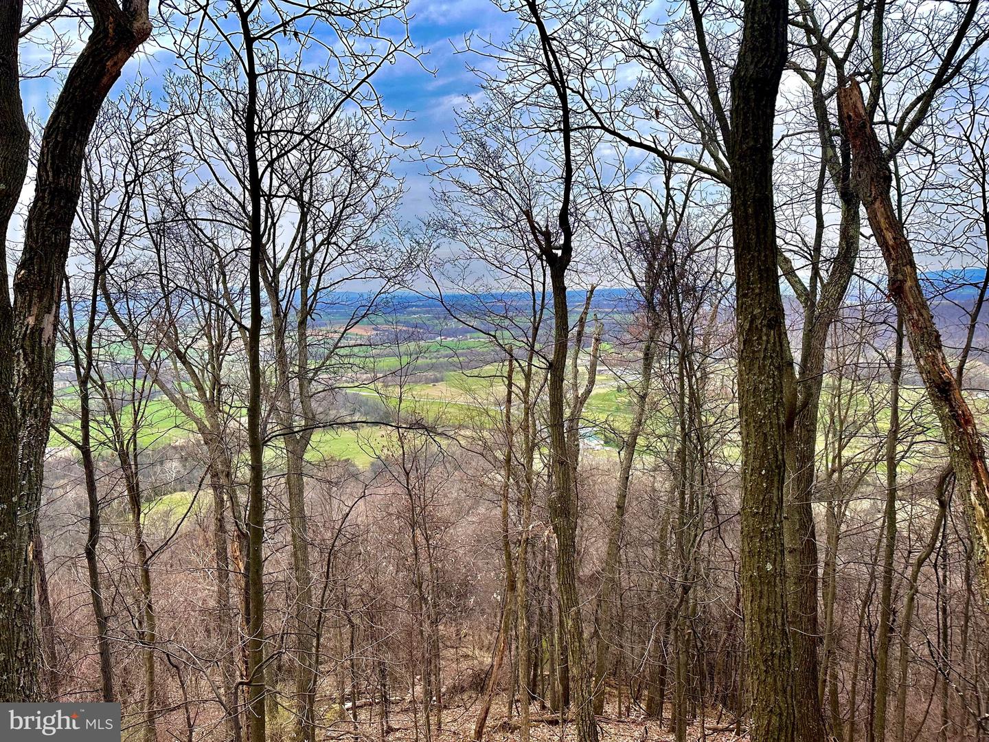 71 Acres Blairs Valley Rd Property Photo 18