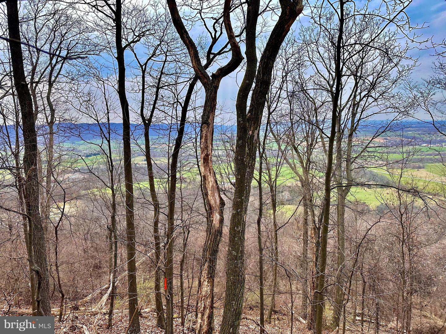 71 Acres Blairs Valley Rd Property Photo 19