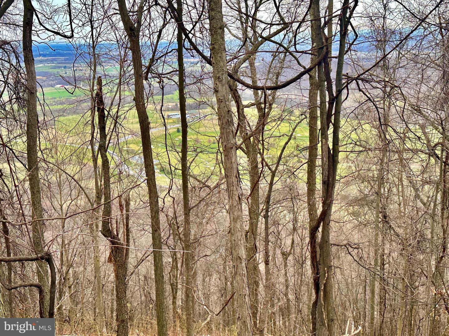 71 Acres Blairs Valley Rd Property Photo 21