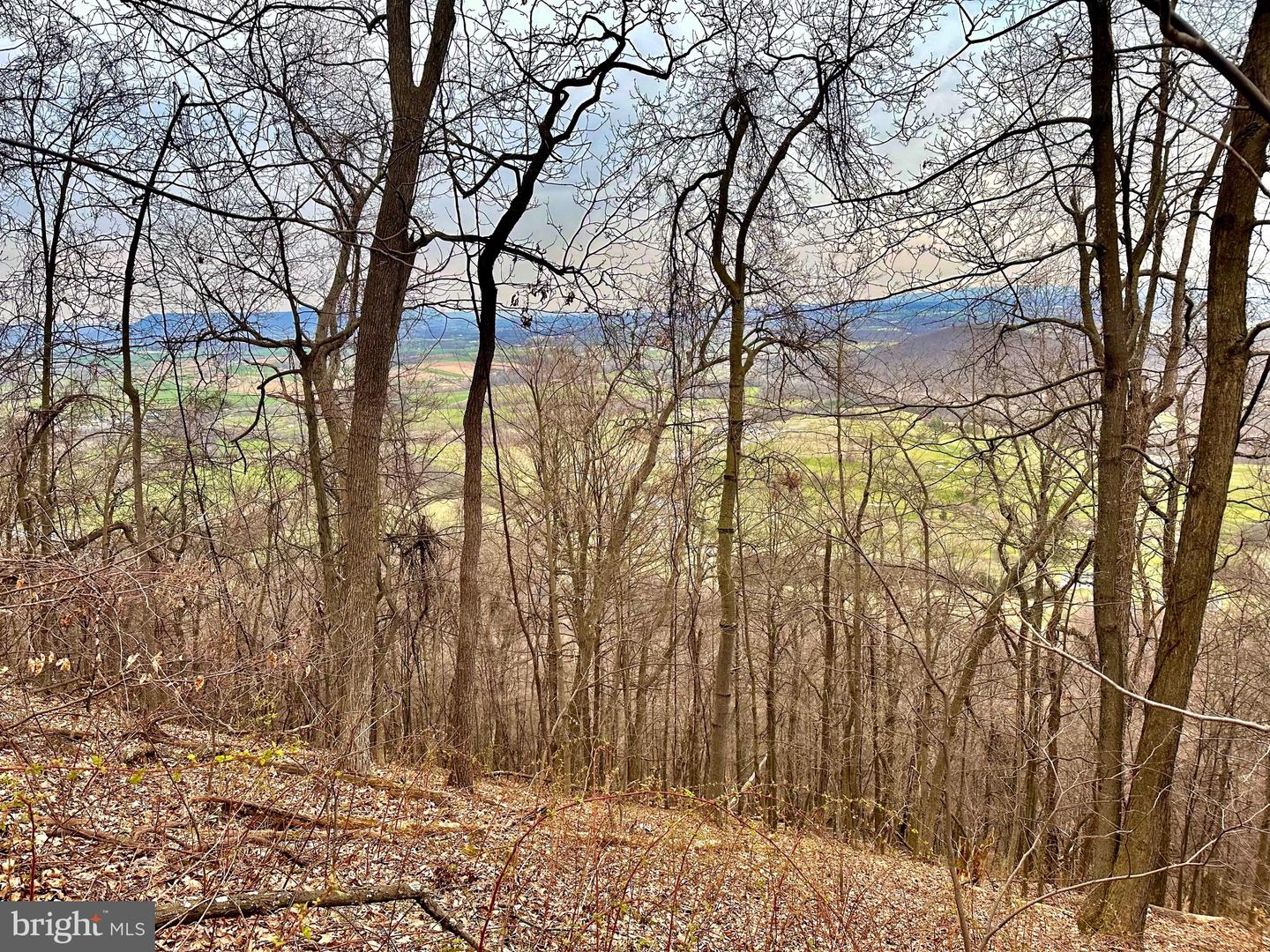 71 Acres Blairs Valley Rd Property Photo 22