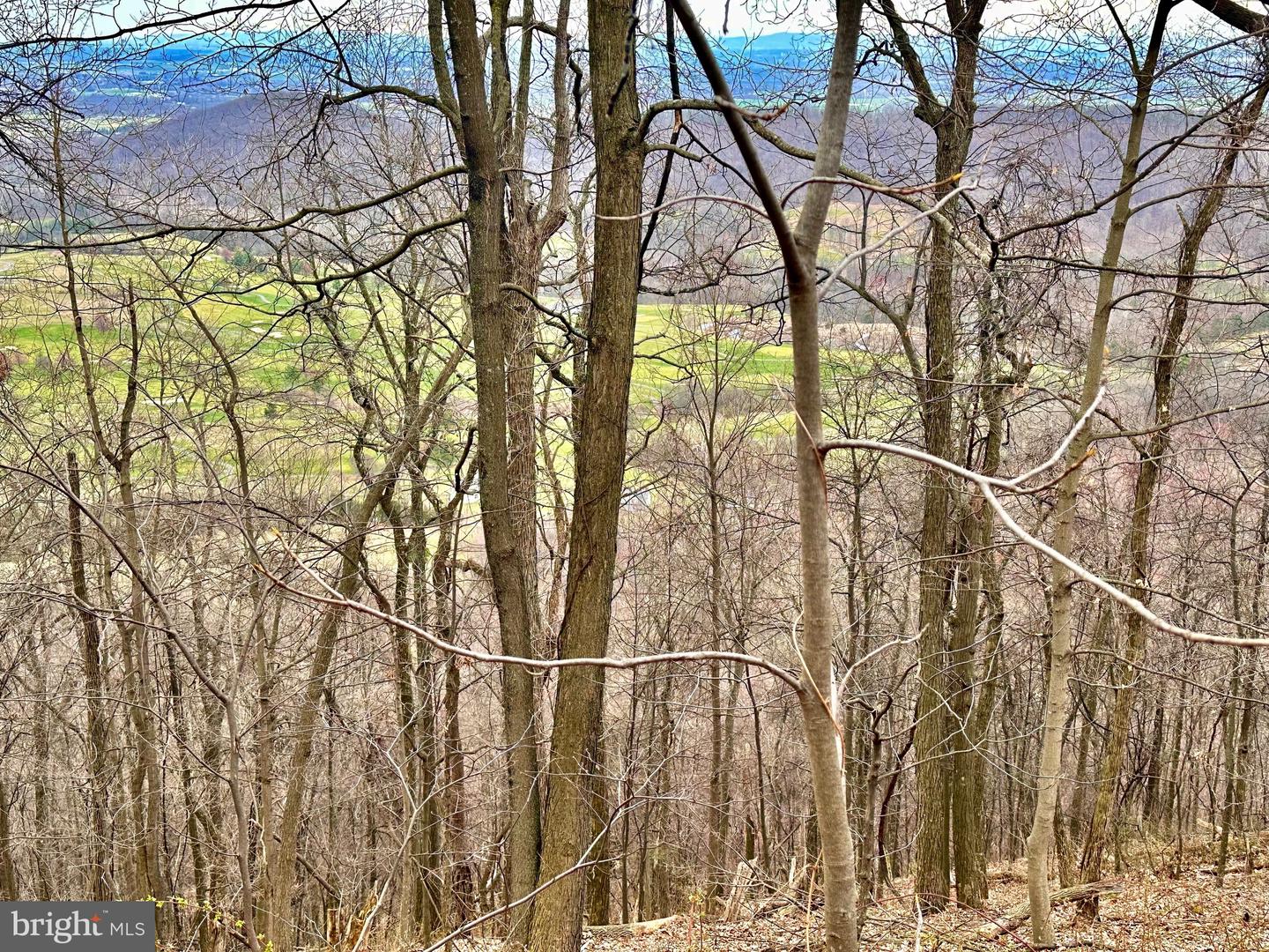 71 Acres Blairs Valley Rd Property Photo 23