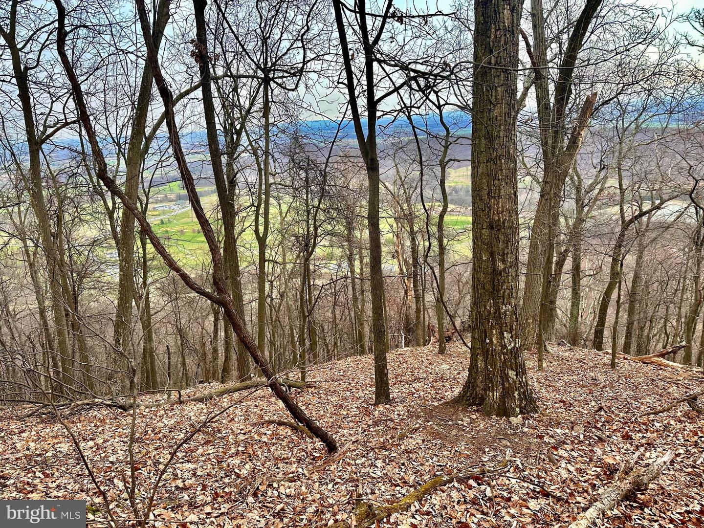 71 Acres Blairs Valley Rd Property Photo 24