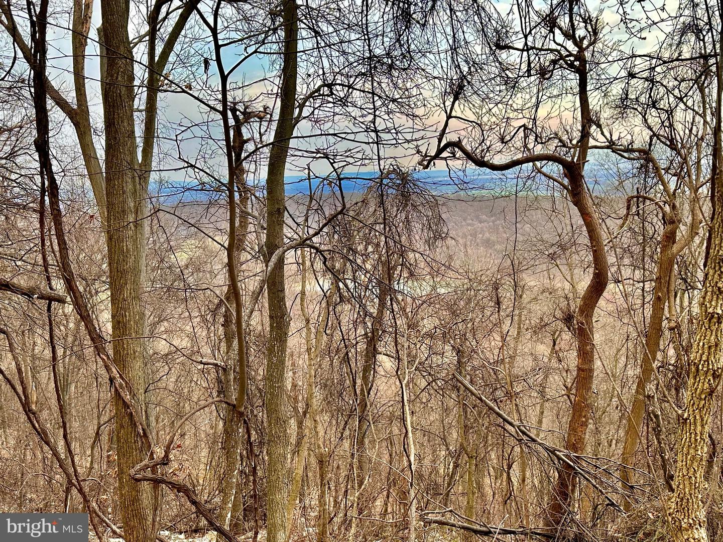 71 Acres Blairs Valley Rd Property Photo 25