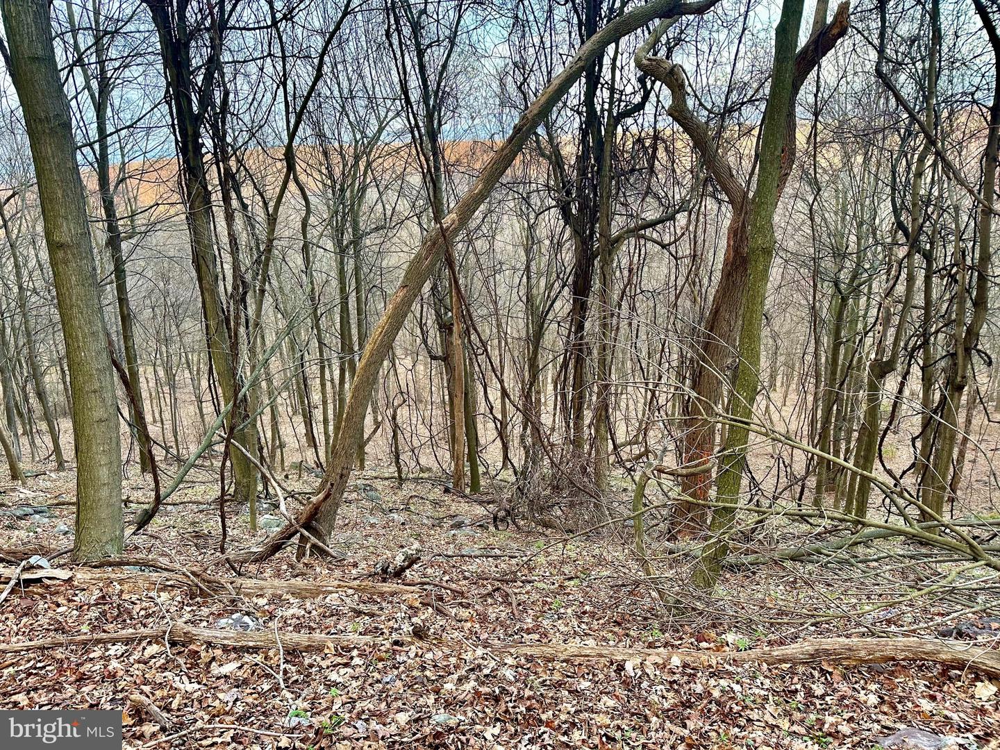 71 Acres Blairs Valley Rd Property Photo 26
