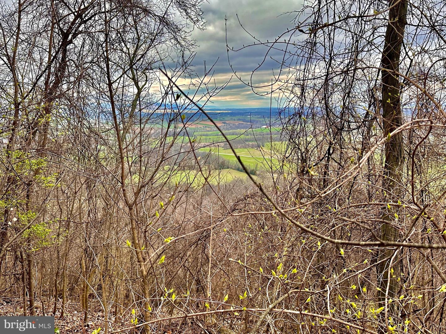 71 Acres Blairs Valley Rd Property Photo 27