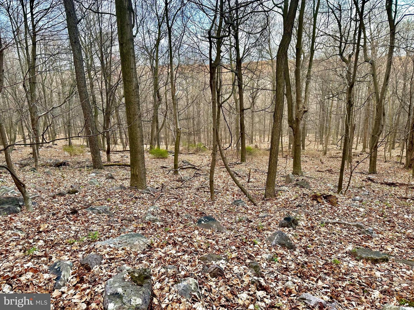71 Acres Blairs Valley Rd Property Photo 28