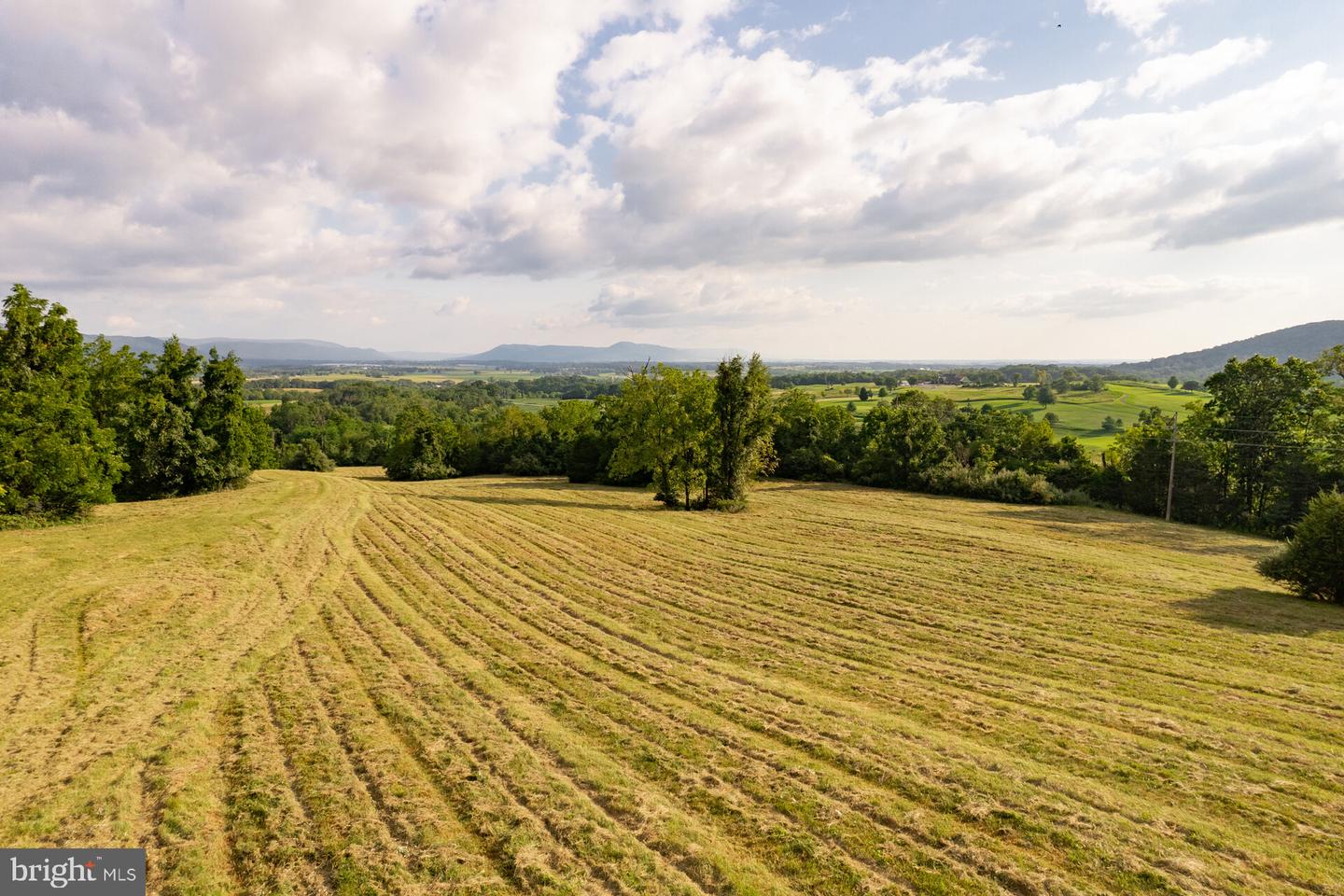 71 Acres Blairs Valley Rd Property Photo 30