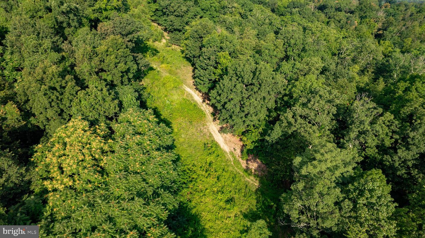 71 Acres Blairs Valley Rd Property Photo 33