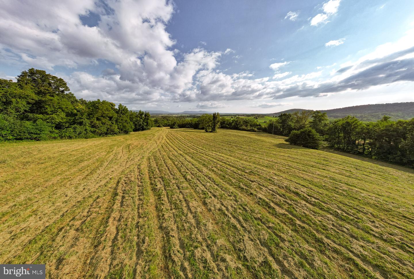 71 Acres Blairs Valley Rd Property Photo 34