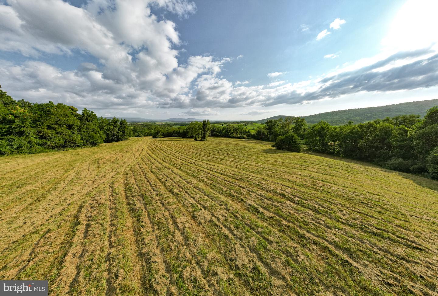 71 Acres Blairs Valley Rd Property Photo 35