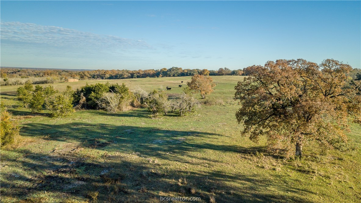 000 Dannheim Road Property Photo