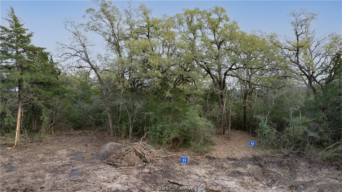 3005 Silverbell Court Property Photo 1
