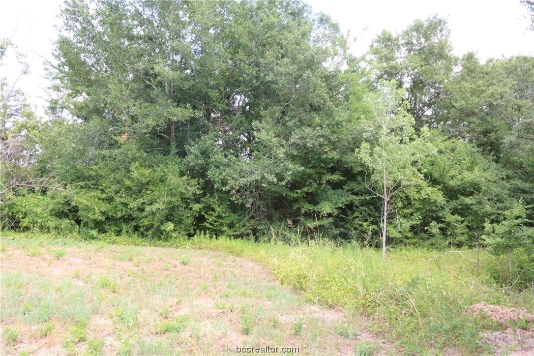 2105 Cids Lane Property Photo 7