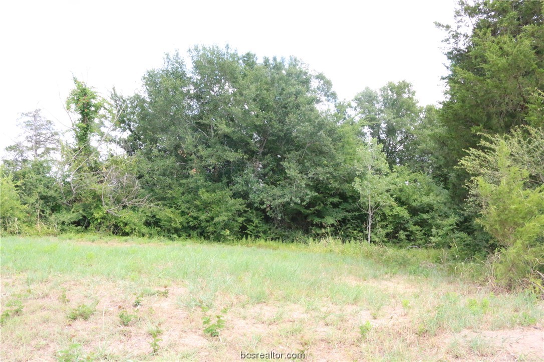 2105 Cids Lane Property Photo 8