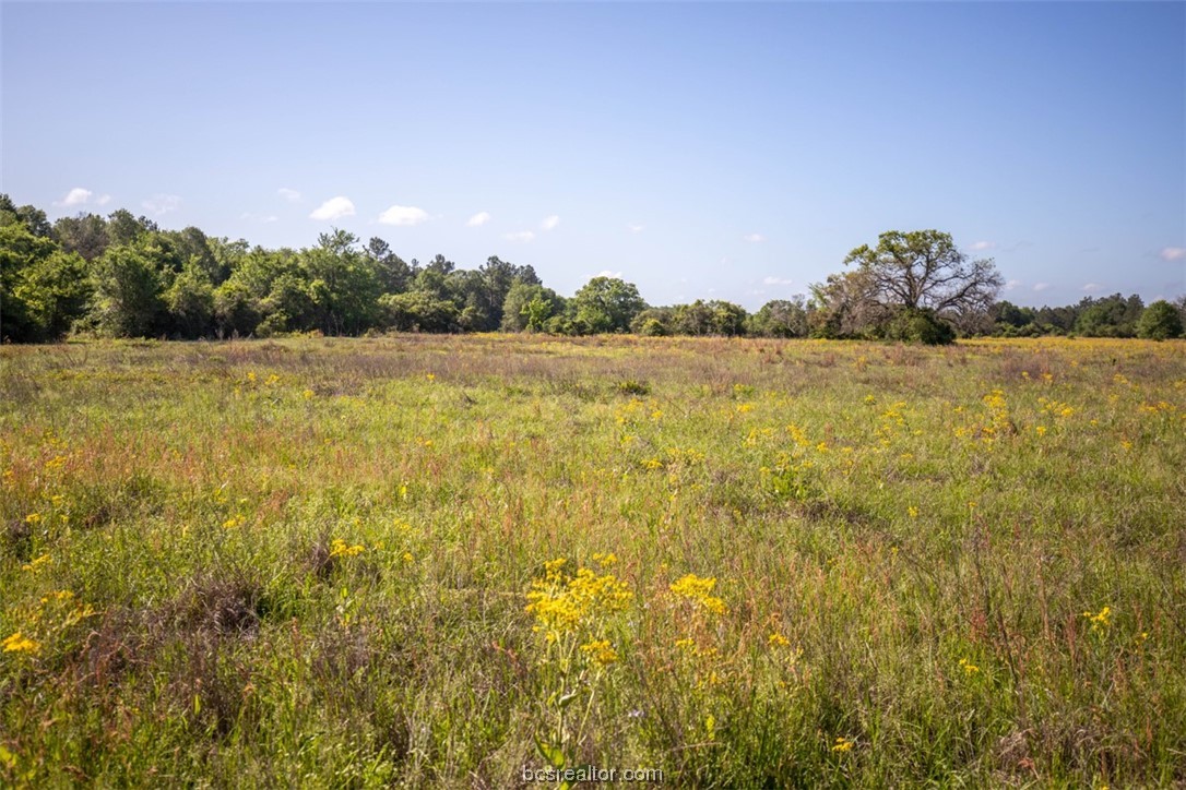 Tbd Red Hill Rd Property Photo