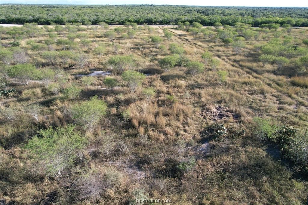 161 Cornerstone Ranch Property Photo 2