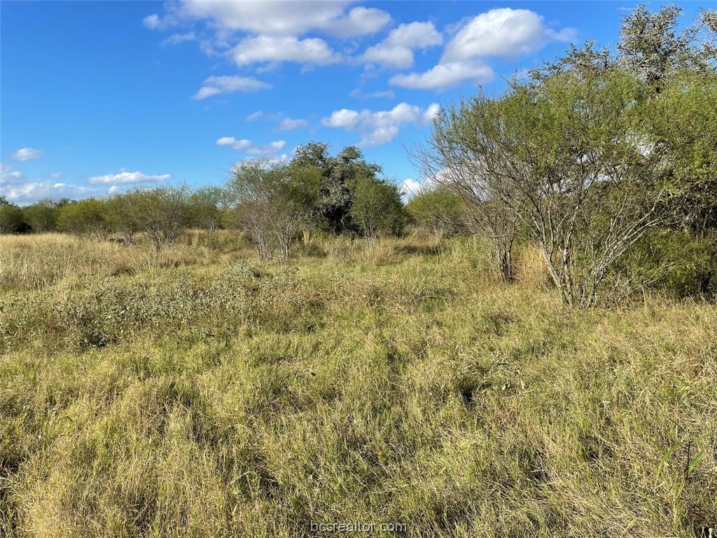 161 Cornerstone Ranch Property Photo 10