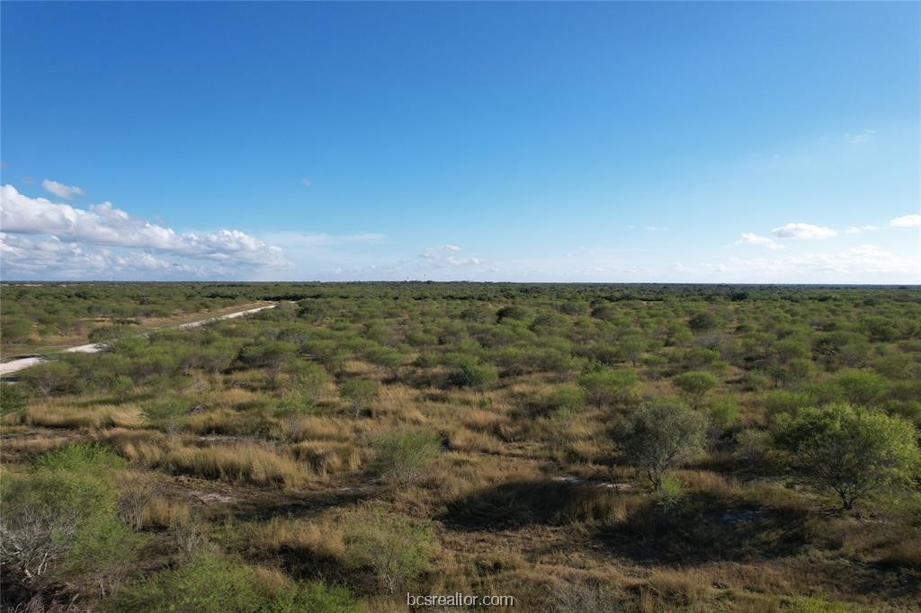 161 Cornerstone Ranch Property Photo 13