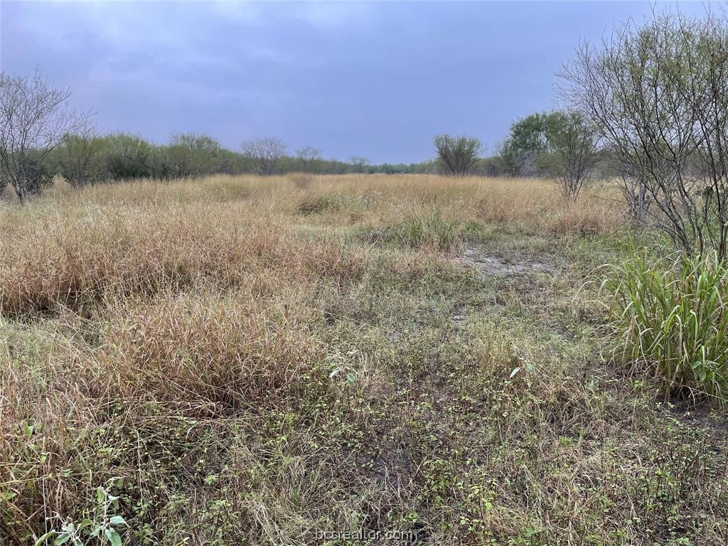 161 Cornerstone Ranch Property Photo 15