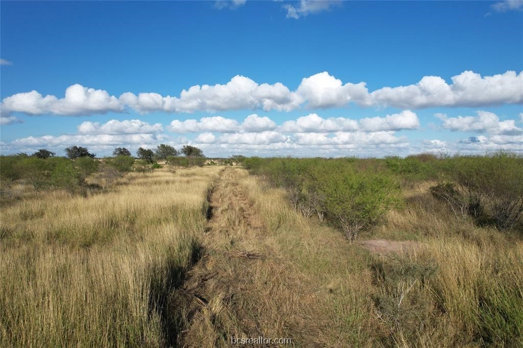 161 Cornerstone Ranch Property Photo 16