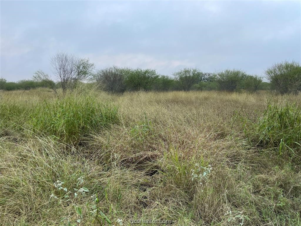 161 Cornerstone Ranch Property Photo 17
